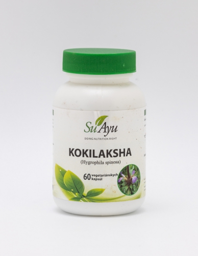 Kokilaksha