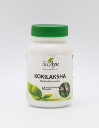 Kokilaksha