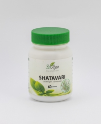 Shatavari